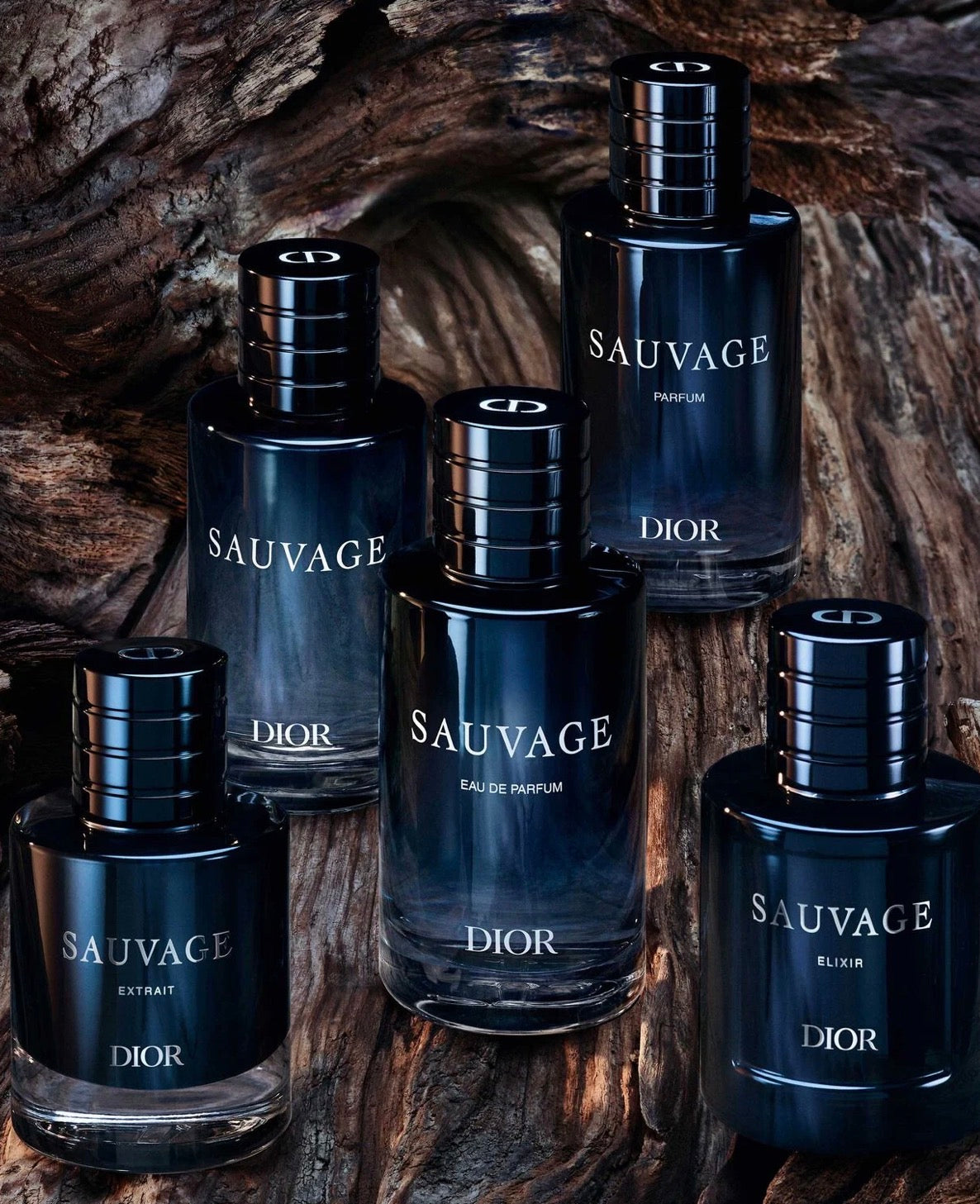 Dior Sauvage Elixir – Parfum Homme Intense et Élégant