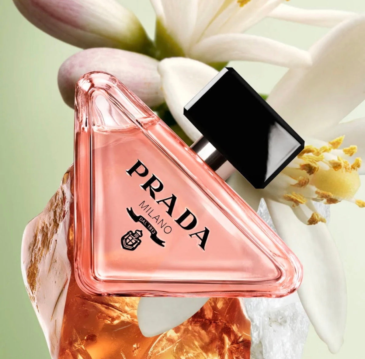 Prada Paradoxe Perfume